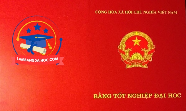 bằng đại học