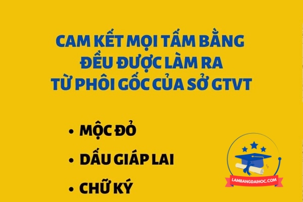 bằng lái xe phôi thật