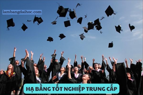 hạ bằng tốt nghiệp trung cấp