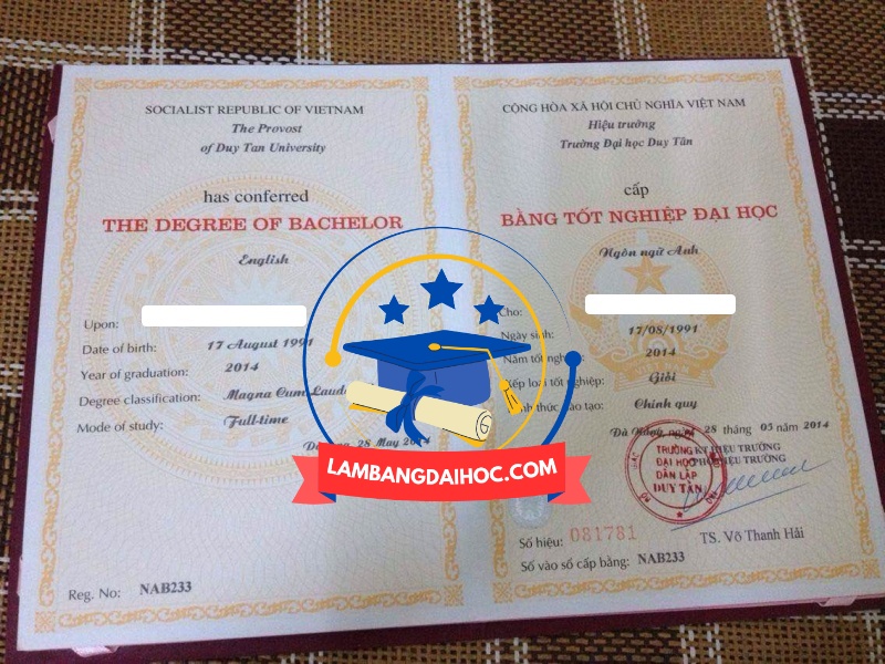 làm bằng đại học