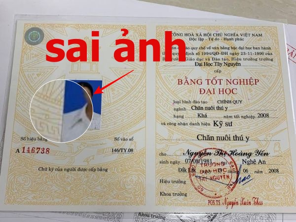sửa bằng đại học